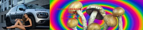 Альфа ПВП Краснослободск