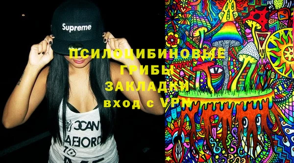 прущий лед Тихвин
