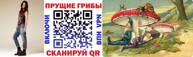 Галлюциногенные грибы прущие грибы  дарк нет как зайти  Рыбинск 
