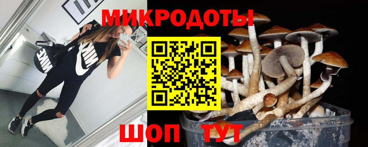 Рыбинск  Галлюциногенные грибы MAGIC MUSHROOMS  Псилоцибиновые грибы Magic Shrooms  Вход с VPN 